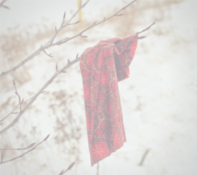 scarf on a tree branch